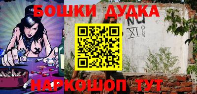 шишки Камышлов