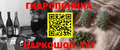 шишки Камышлов