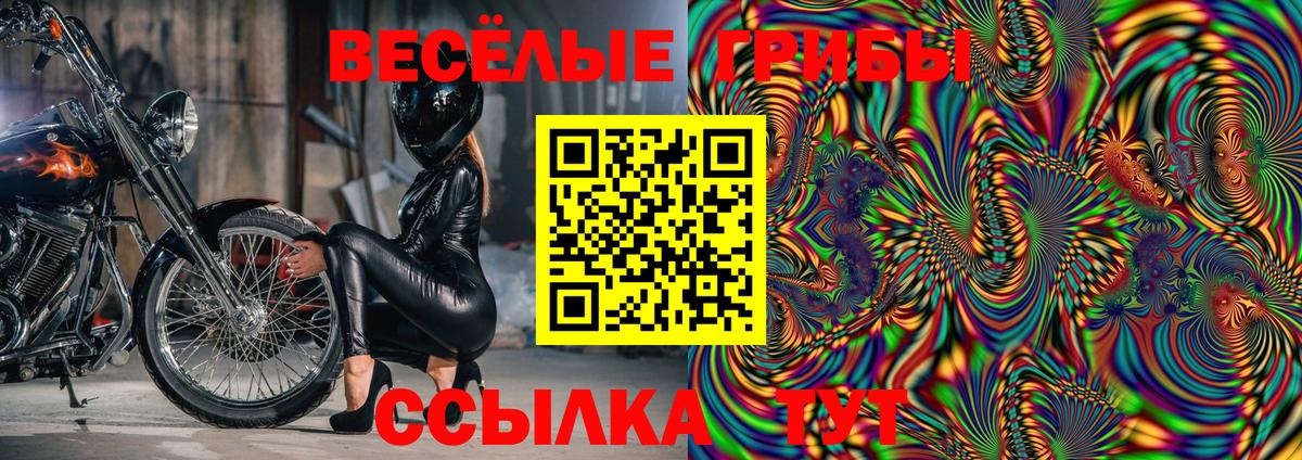 Галлюциногенные грибы Psilocybe Рославль